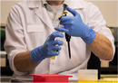 AMMEX Professional Nitrile Exam Gloves - Chemo (Case only)